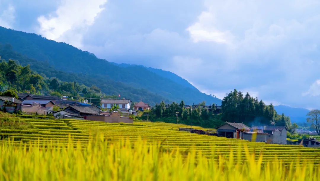 又到户撒最美时节,这个周末带上家人去玩吧!