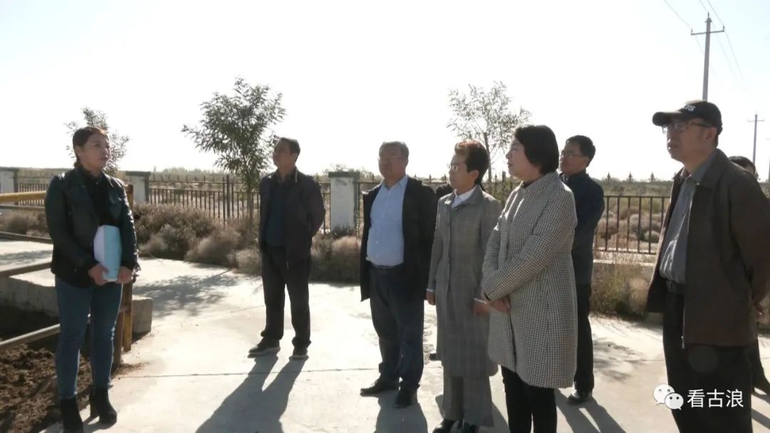 10月22日,市人大常委会副主任陈福萍来古浪县,对市