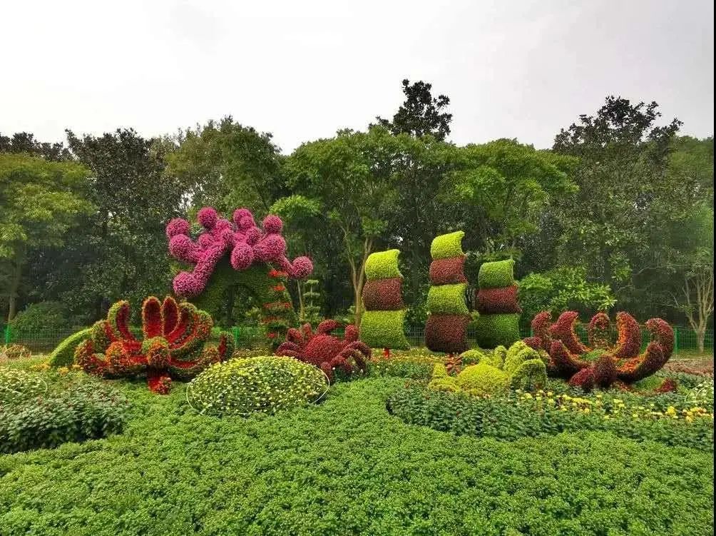 秋意渐浓沪上这些赏菊的好去处你准备好打卡了吗