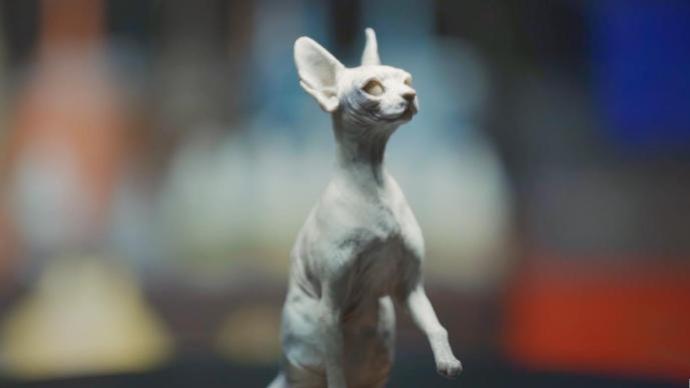 大神手作动物雕塑栩栩如生，现实版《神奇动物在哪里》