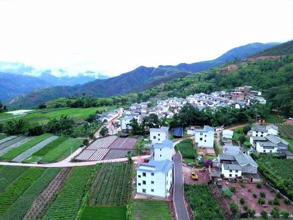 石屏县大桥乡做实四大支撑衔接乡村振兴