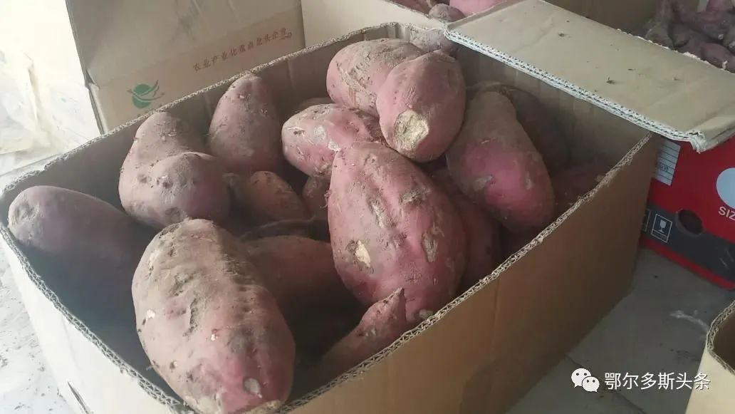 关注,新闻播出后,一些爱心企业与脱贫户刘金黎取得联系,主动购买红薯