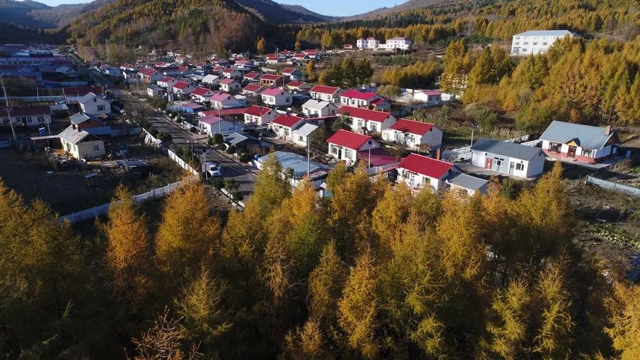 藏在时光里的小村庄正揭开崭新面纱—海林市横道河子镇七里地村实现