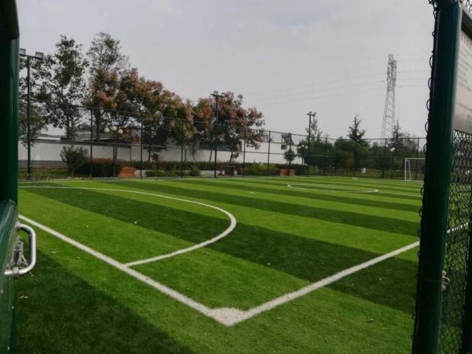 提升全民身体素质,汤阴县发改委近日对汤阴县11个社会足球场项目建设