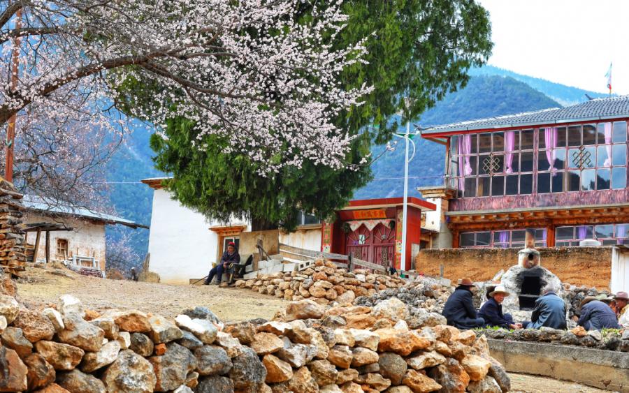 新时代迪庆新气象尼西乡千年技艺焕活力