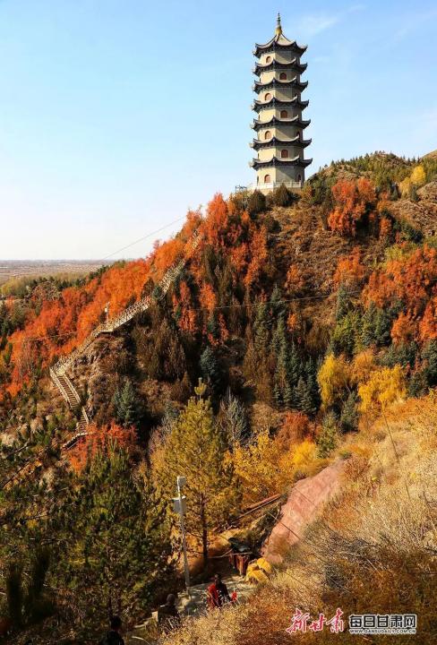 省级媒体看永昌每日甘肃网丨永昌县武当山登高赏秋观漫山红叶