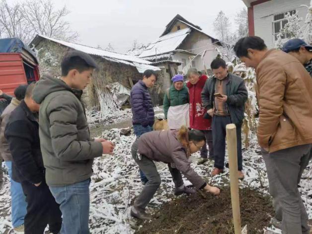 把讲台搬到田间地头把致富经送进群众心里，昭通学院这个博士不一般