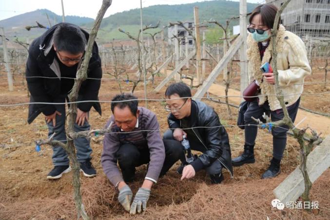 致富农民李文龙_农民致富经_致富农民事迹登报纸