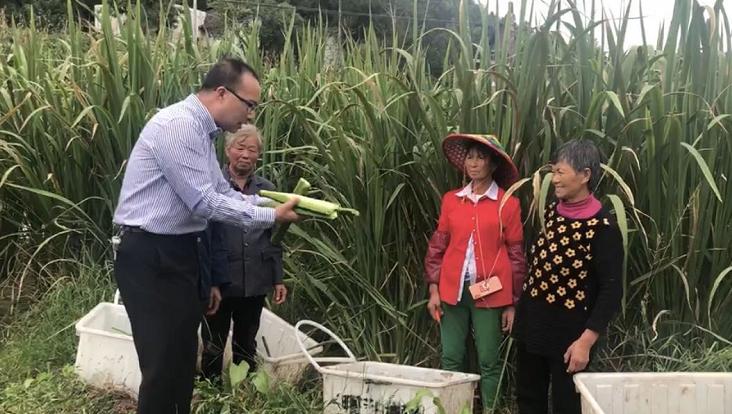 扶贫协作 共奔小康 | 汤碧荣:跨越西东 架起产业