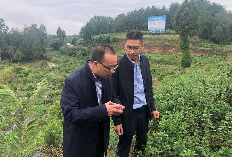 扶贫协作 共奔小康 | 汤碧荣:跨越西东 架起产业