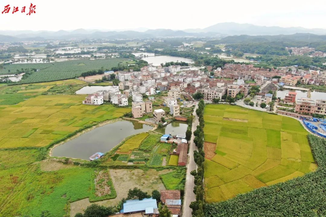 白诸镇GDP_杏坛镇gdp数据图(3)