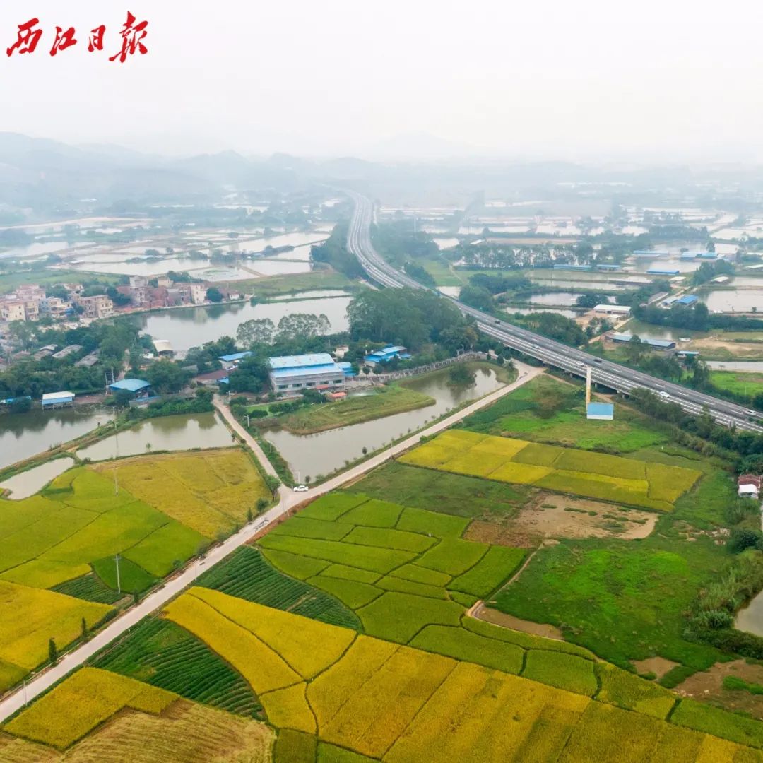 白诸镇GDP_杏坛镇gdp数据图(2)