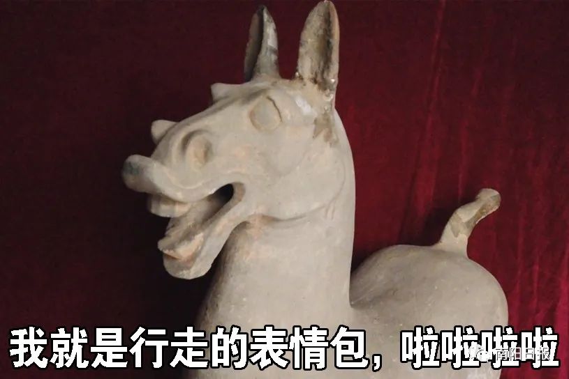 南阳市博物馆馆藏文物的故事77行走的表情包汉代陶马来啦