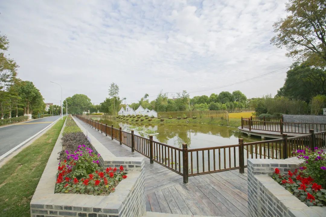 美在生态富在产业根在文化新寺村的美丽蜕变在这里