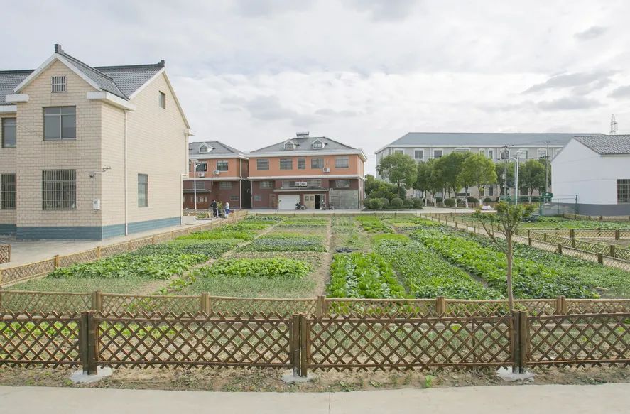 美在生态,富在产业,根在文化,新寺村的美丽蜕变在这里