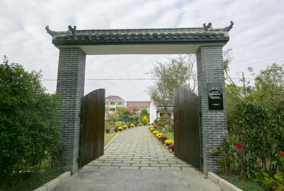 美在生态富在产业根在文化新寺村的美丽蜕变在这里