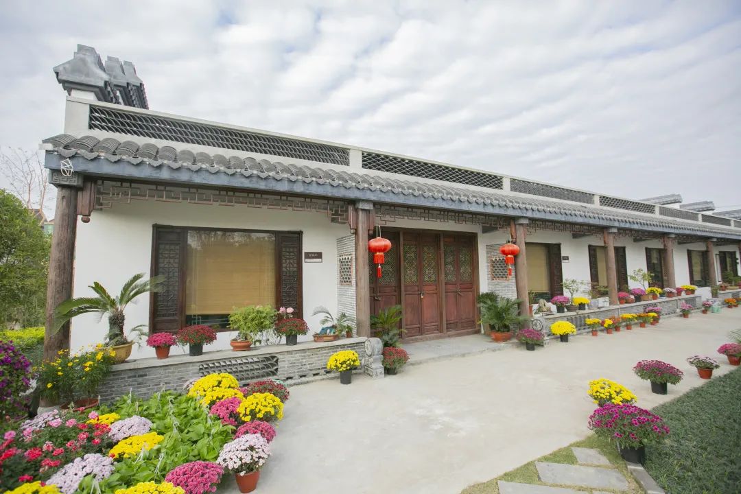 美在生态富在产业根在文化新寺村的美丽蜕变在这里