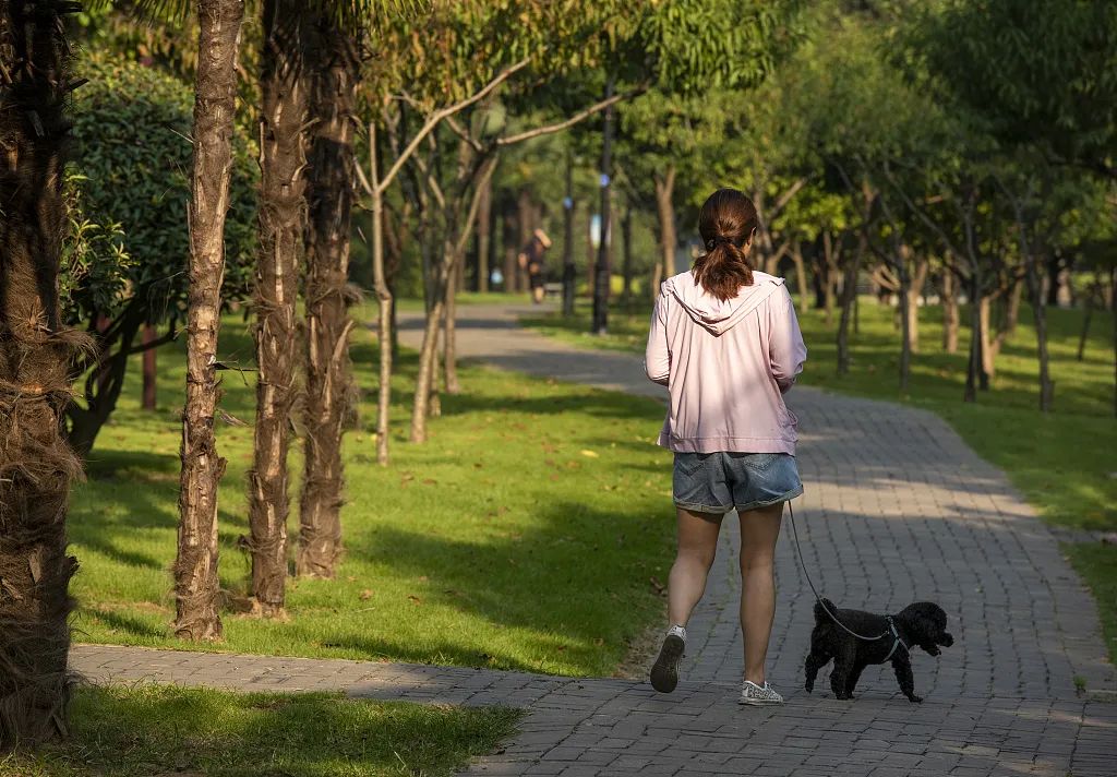 深圳人养犬有新规外出遛狗绳长不得超过2米