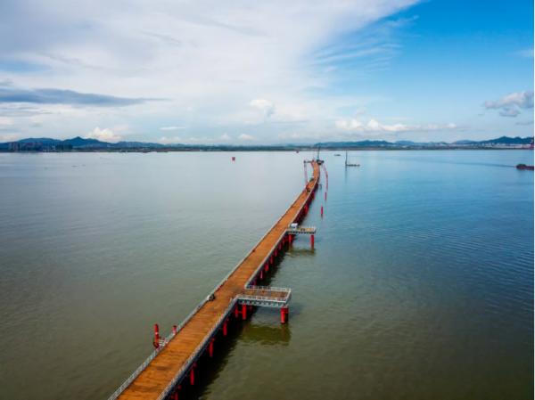 大湾区标志性工程黄茅海跨海通道传来好消息