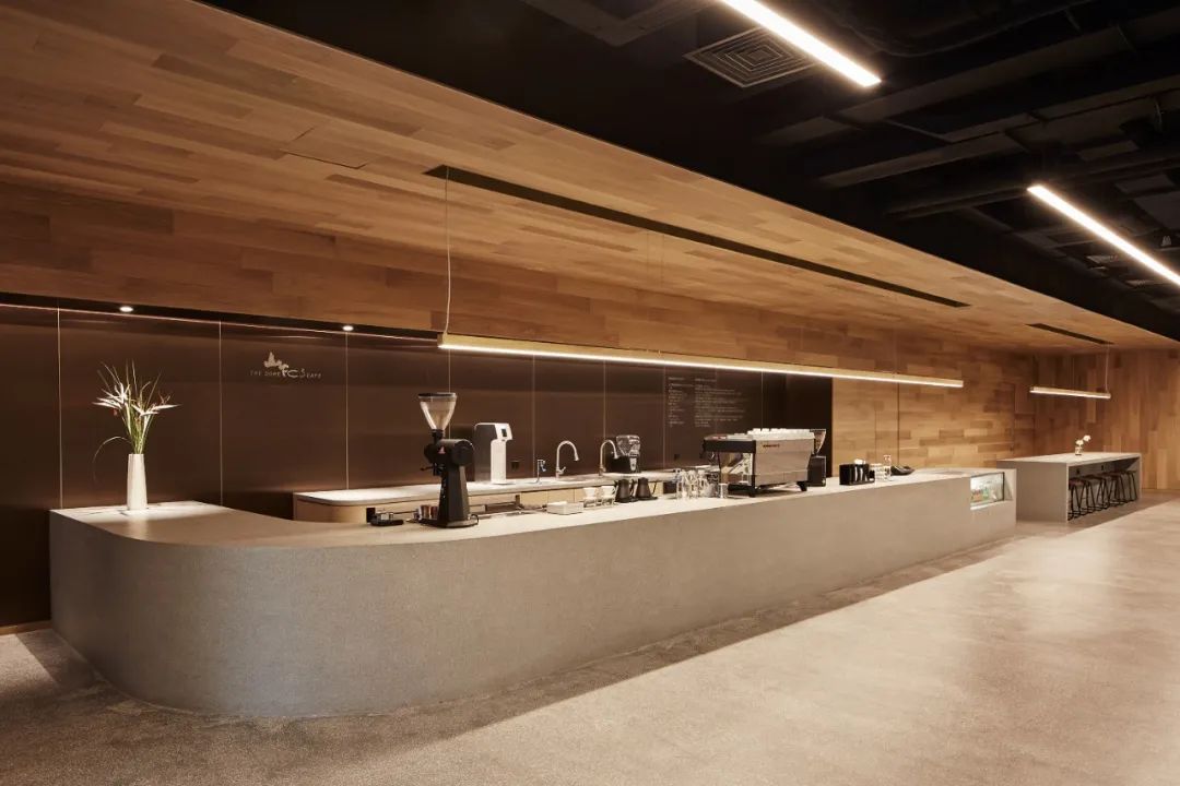 山下学堂还将诞生多少风犬少年