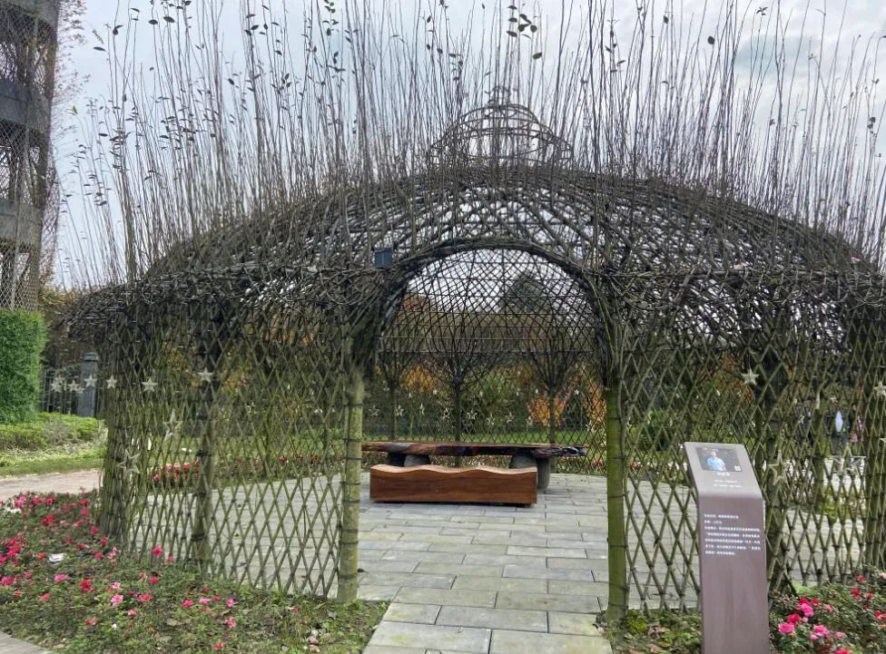 民宿等多元化产业同样方兴未艾寿安镇天星村的随着传统花木产业不断