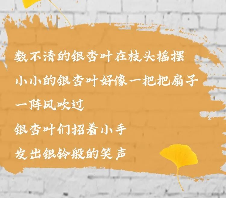 视觉盛宴!张张大片!嵩县白河一场延续千年的金色盛宴,错过要再等一年!