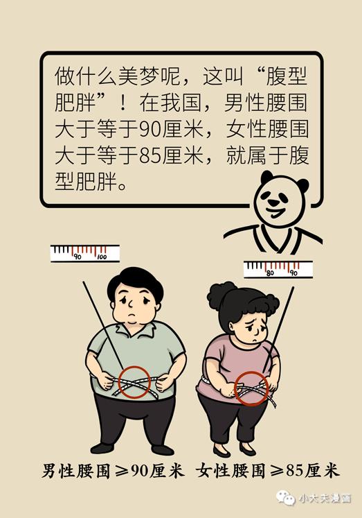 腹型肥胖很危险科学方法教你减掉将军肚逆转三高