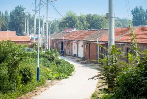 网信之声丨王卜庄镇蔺家庄村美如画我的故乡我爱它