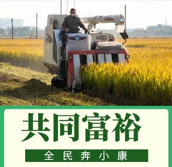 扎实推动共同富裕,不断增强人民群众获得感,幸福感,安全感