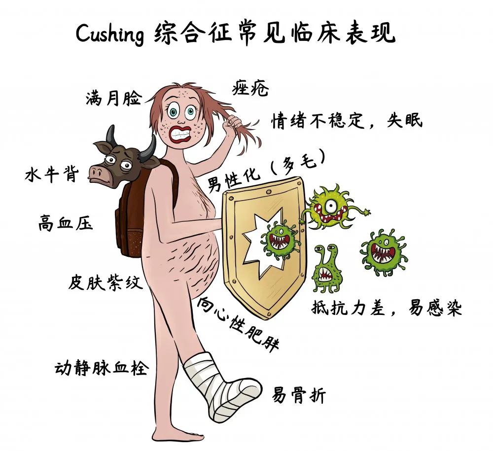 当肾变成玩水枪的萌宝,肺变成足球运动员 | 工作细胞