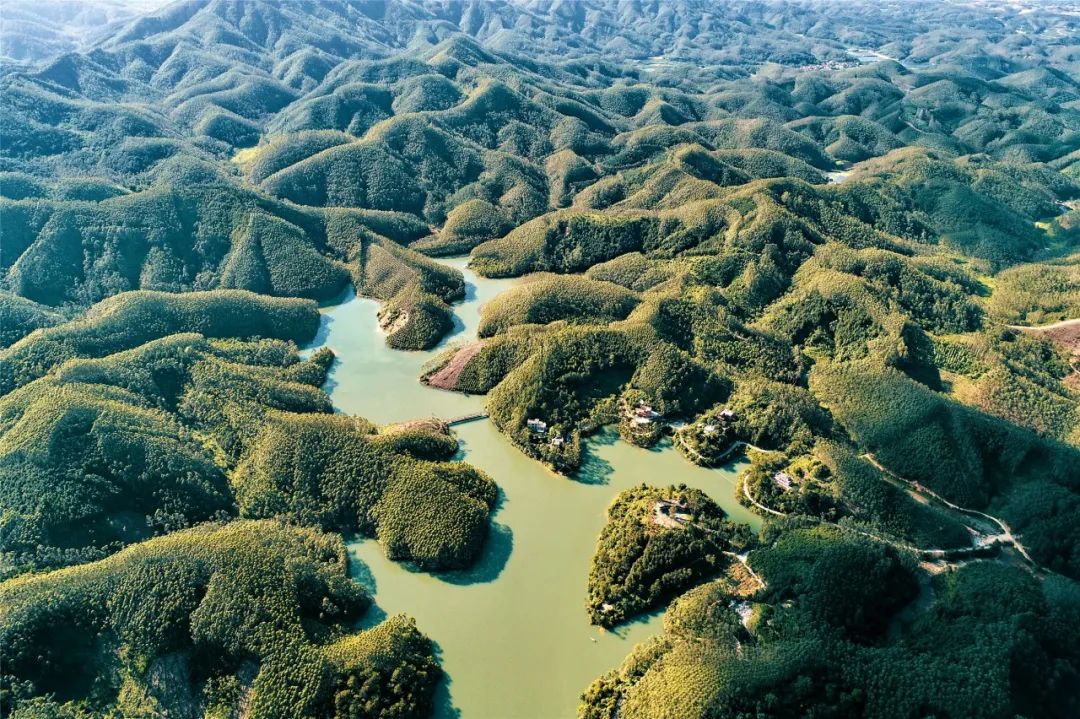 高明这抹"绿",爱了