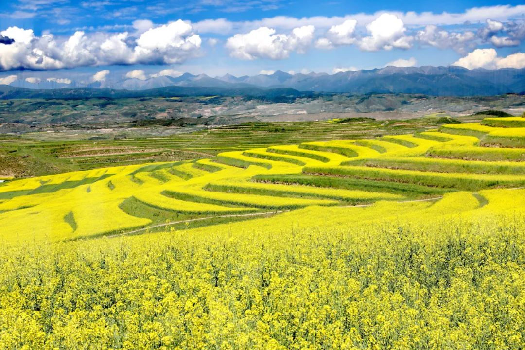 幸福西宁61全面建成小康社会网络摄影展农村新貌篇