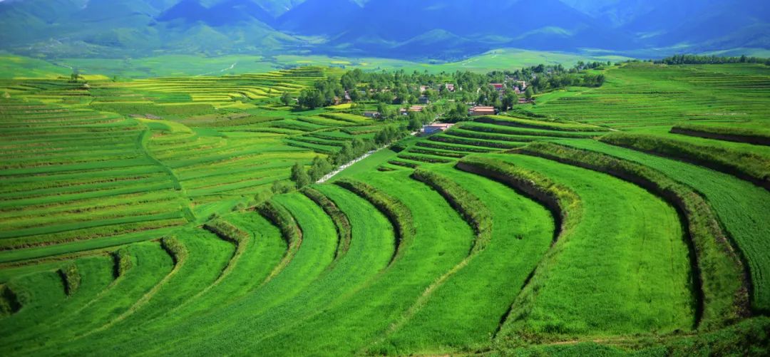 幸福西宁61全面建成小康社会网络摄影展农村新貌篇