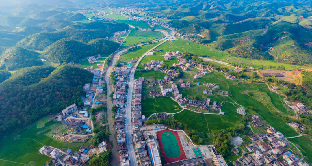 预计可创造年营收超12亿肇庆这个行业还建立完整产业链未来的发展方向