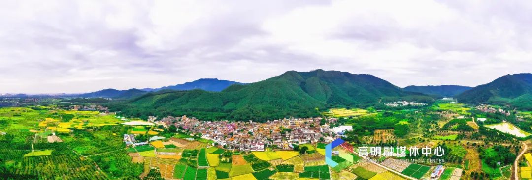 在导航输入"高明 文车",万亩稻田就在文车村附近