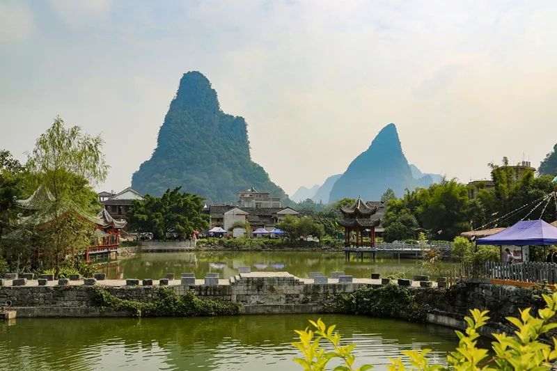 人口金塔图_金塔胡杨林图片(2)
