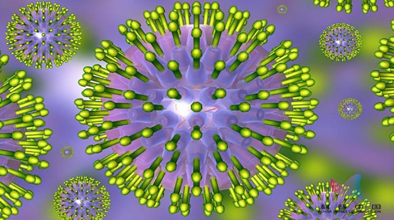 ebv病毒(epsteinbarr virus, ebv),是一种嗜人类淋巴细胞的γ-dna