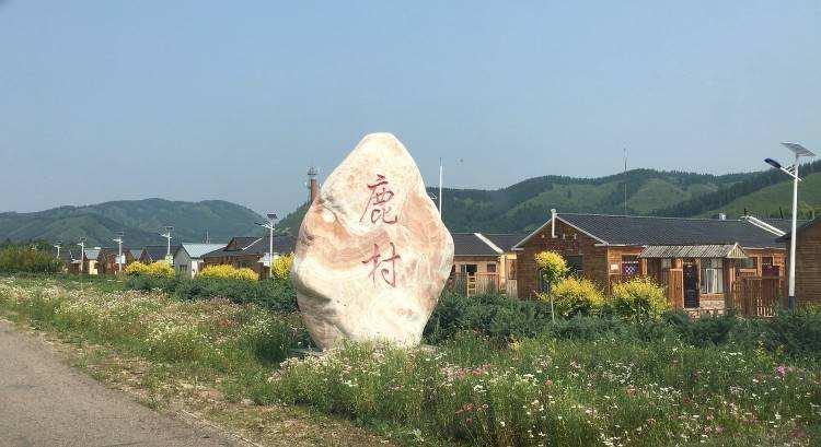 阿尔山文旅扶贫走进鹿村和梅花鹿来次亲密约会