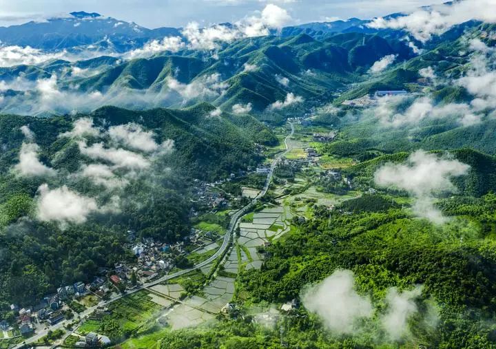 安吉奏响绿色协奏曲把绿水青山建得更美把金山银山做得更大