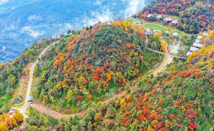 实拍绵阳江油观雾山"枫"景大片