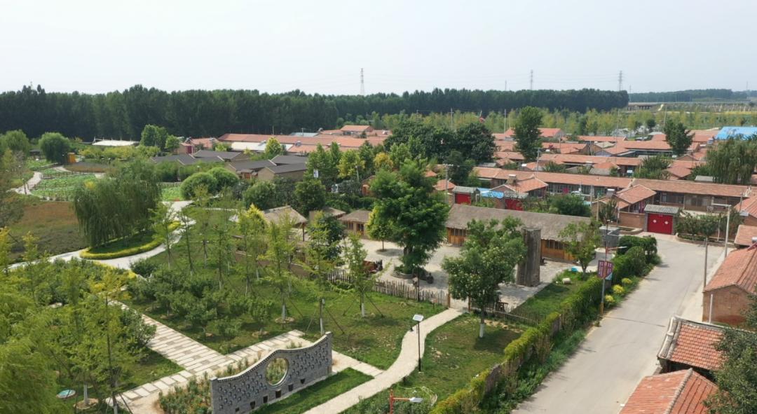 香河跑出乡村振兴加速度