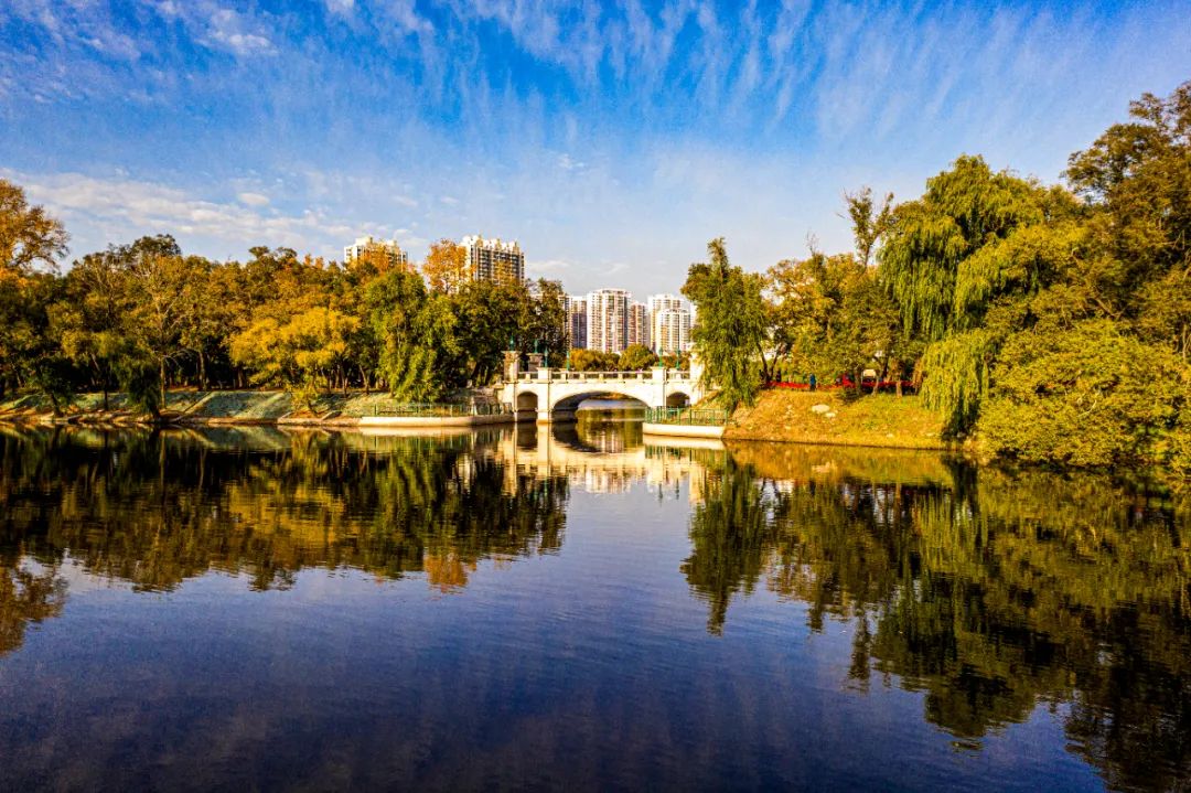 龙沙公园秋意浓