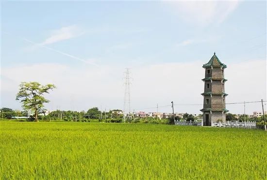 这,就是新会双水的"铁三角"!