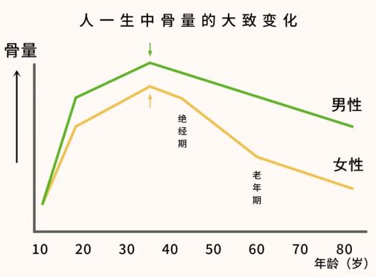 人一生的身体变化图图片