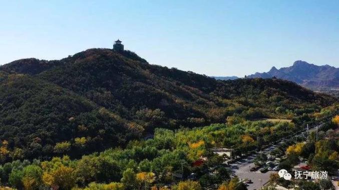 網紅打卡賞秋景走進秋天的童話世界撫寧紫金山