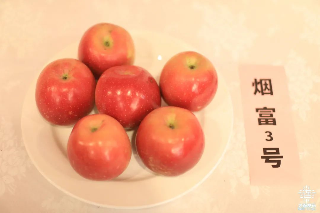 310.jpg