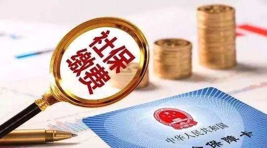 什么是社会保险费一年多少钱 499.jpg