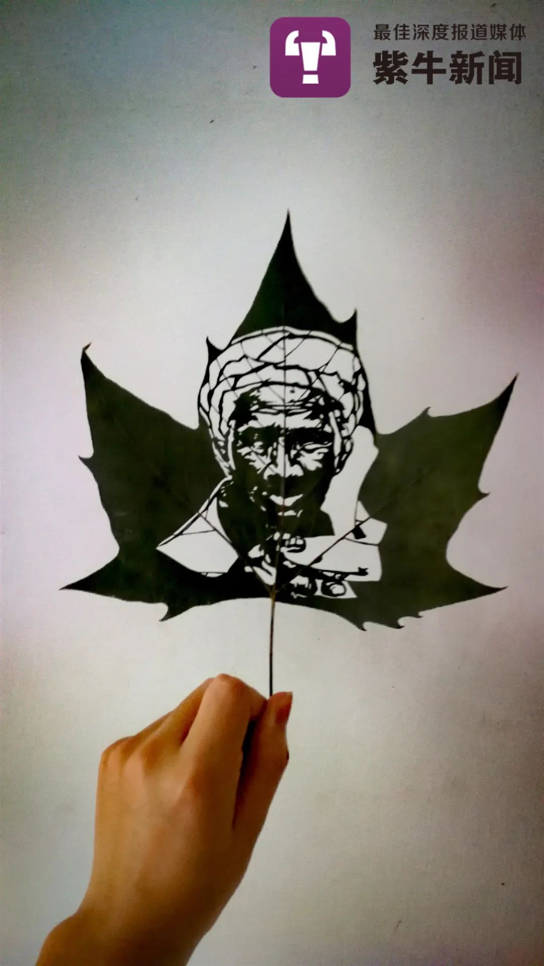 刘奇的叶雕作品曾画出16米《中国抗疫图鉴》"祈盼他们早日回家"记者