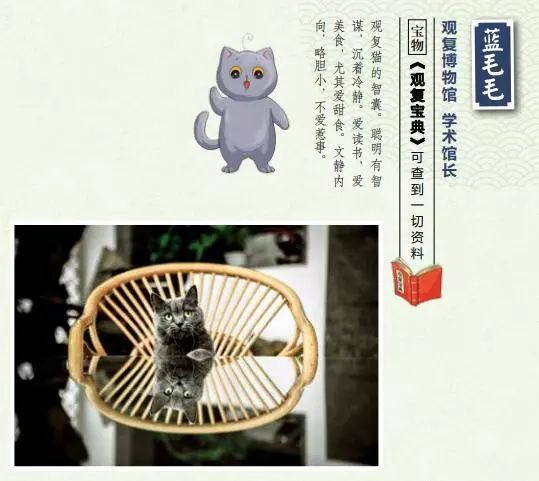 连载观复猫小学馆麻条条的二十四小时漫画来袭带你穿越古今大冒险