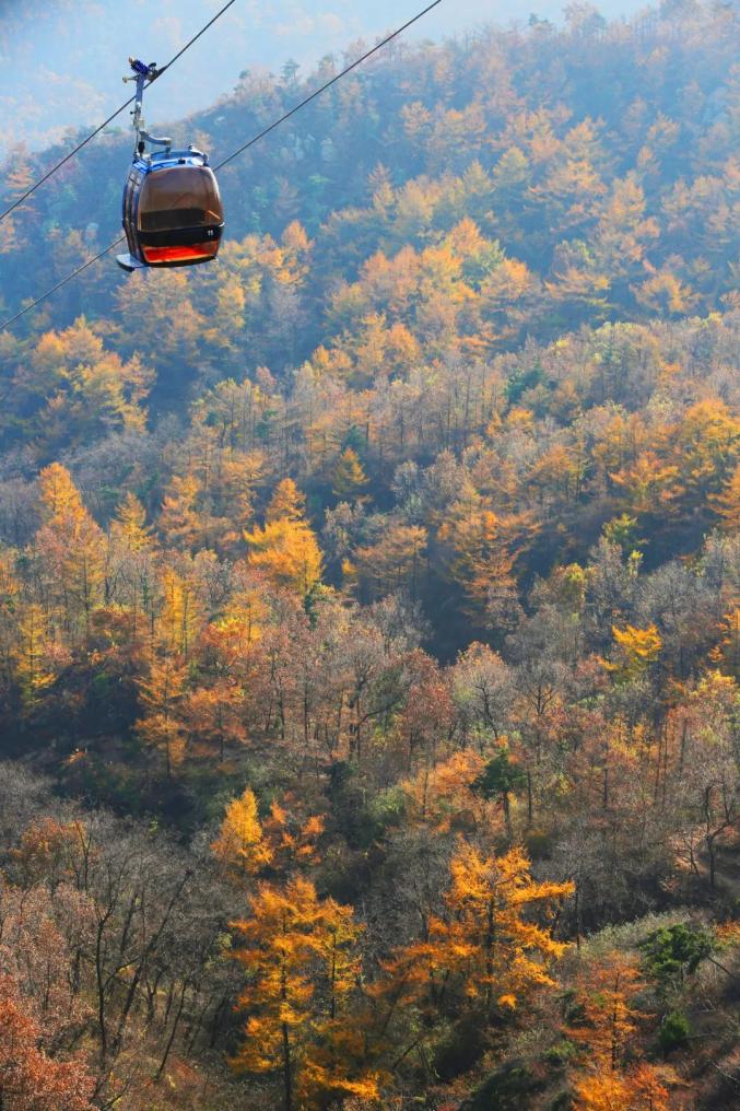 俯瞰沂山锦绣山,不曾别去枉寻欢.